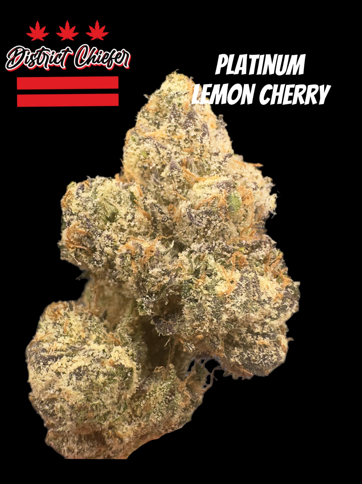 Platinum Lemon Cherry
